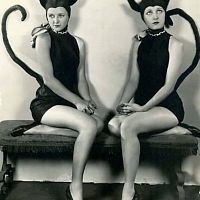 20250809-411mHalloween-costumes-cats-1920