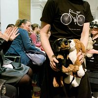 20170401173329-555d9691-la