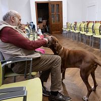 20191107203331-ac8ce986-la