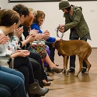 20170401173209-9839fb9f-la