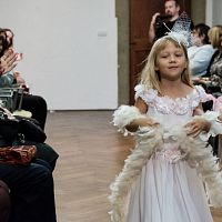 20181104183856-dc48e0d6-me