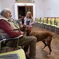 20191107203320-63e23948-la