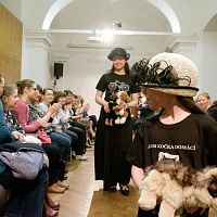 20170401173320-50fcb25b-la