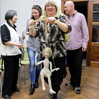 20170401164242-822f7c39-me