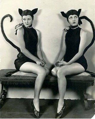 20250809-411mHalloween-costumes-cats-1920