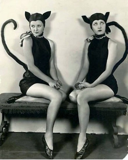 20250809-411mHalloween-costumes-cats-1920