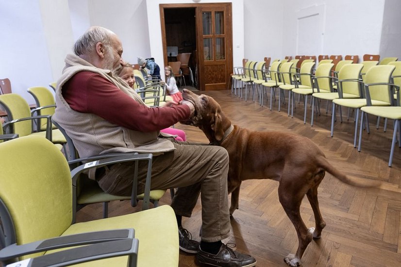 20191107203331-ac8ce986-la