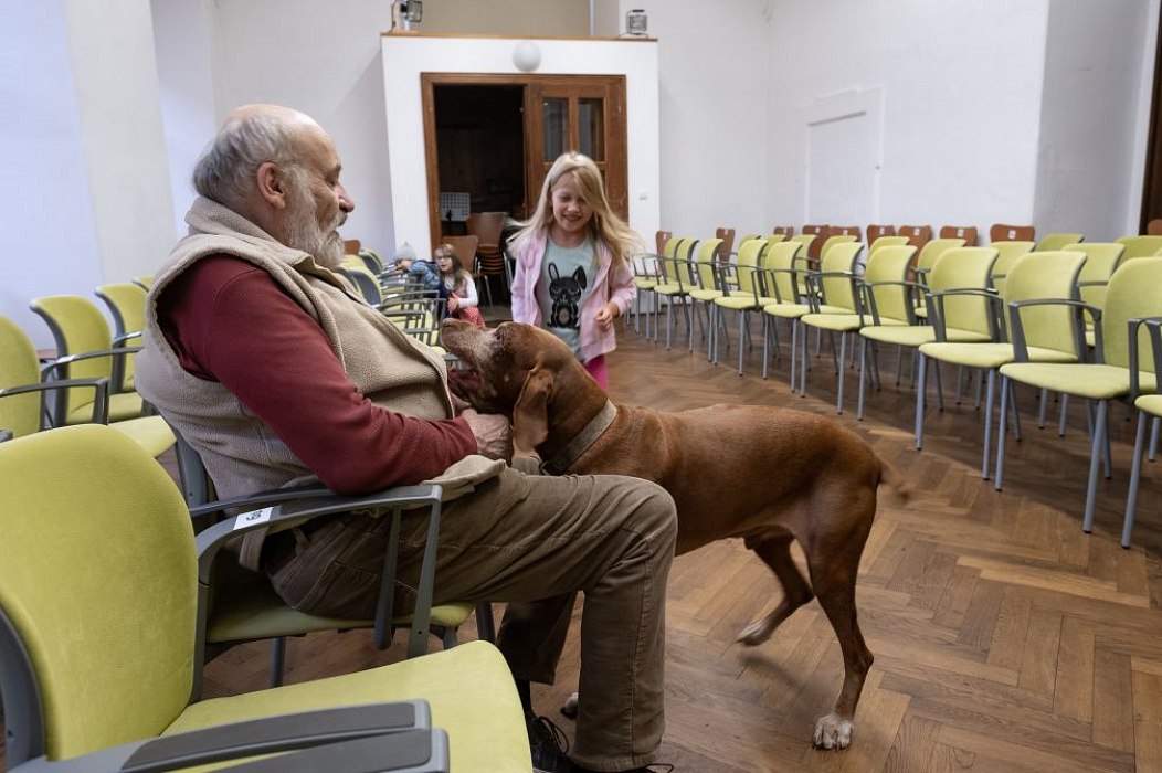 20191107203320-63e23948-la