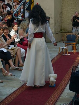 20170629232557-ebac34d8-me