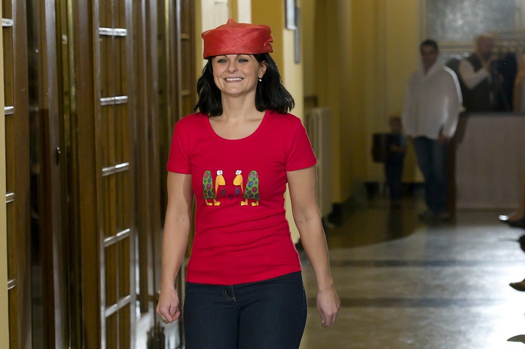 20101009-251-meluzina-m