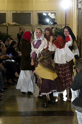 20101009-557-meluzina-m